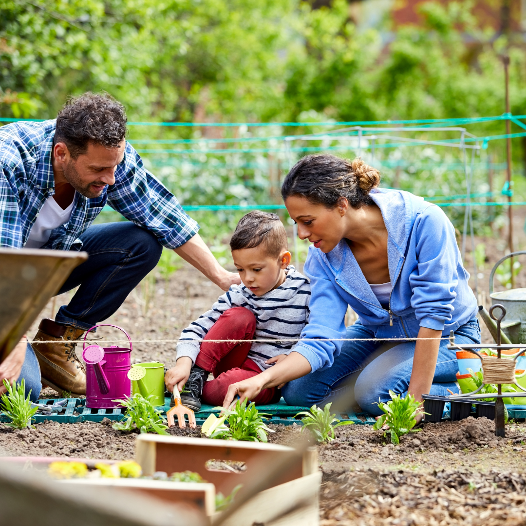Gardening