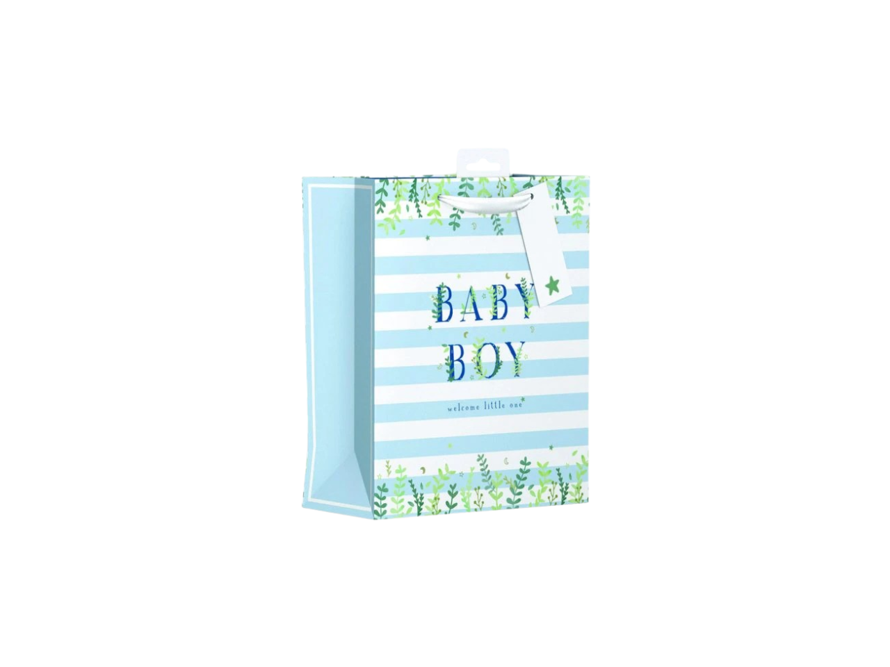 Baby Boy Gift Bag | Medium