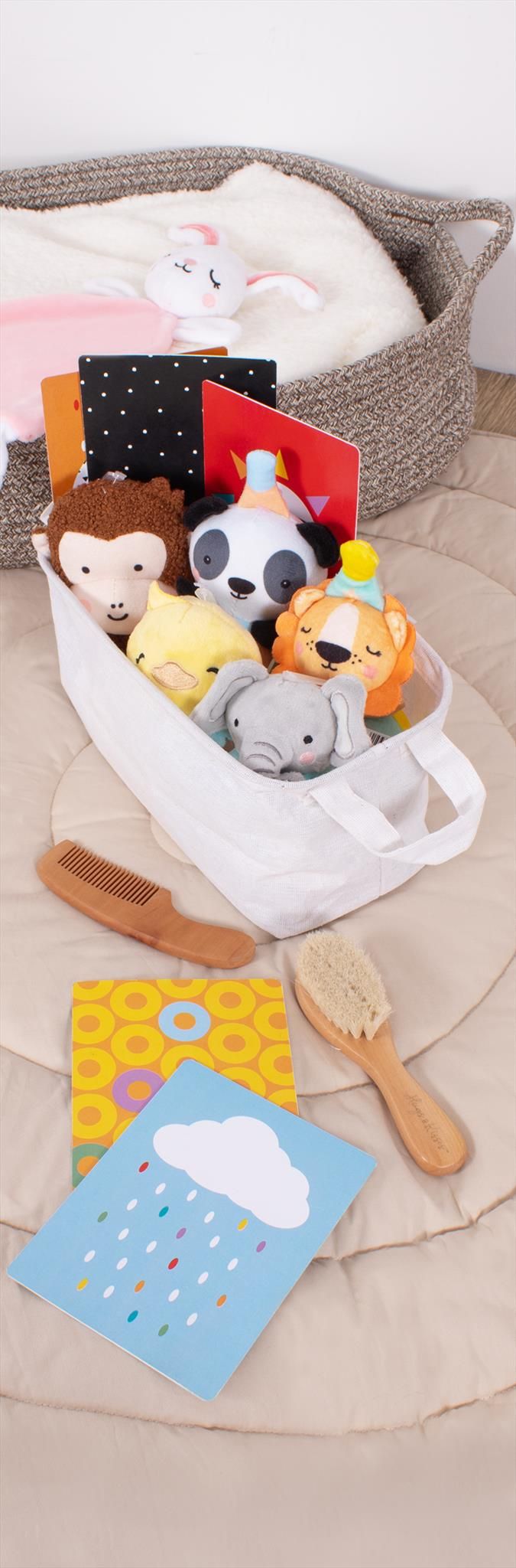 Collapsible Storage Rectangle