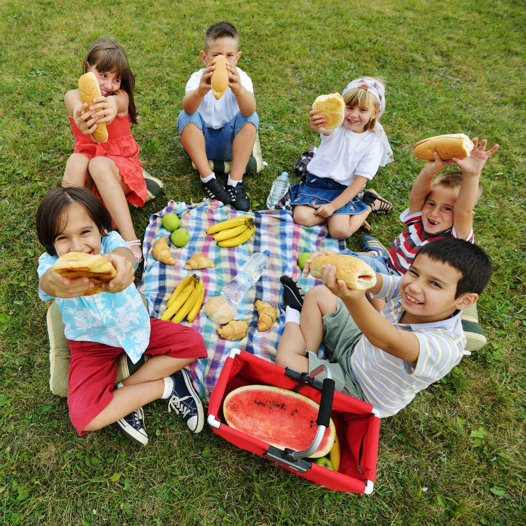 Picnic Essentials