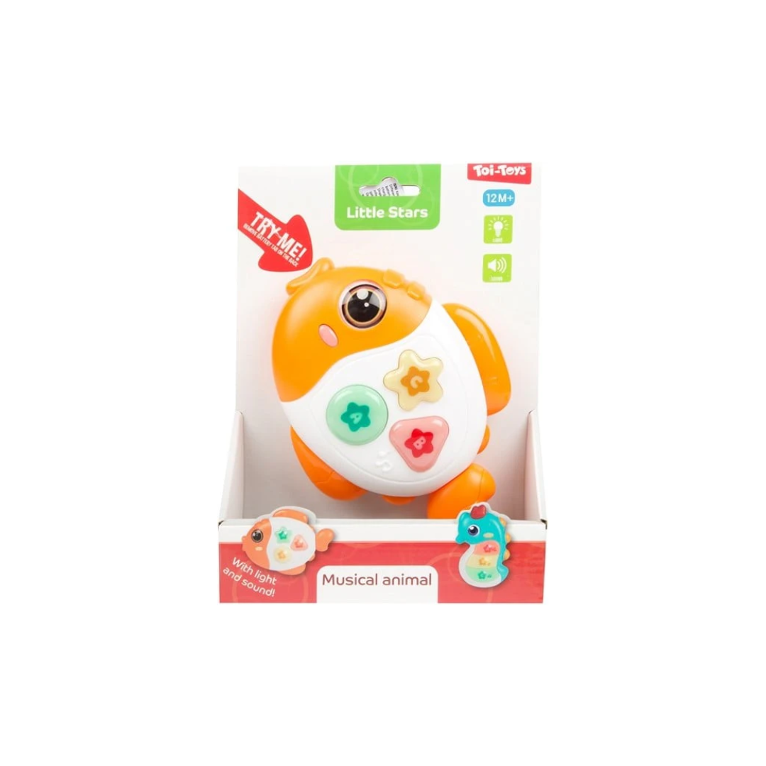 Baby Music | Animal Fish