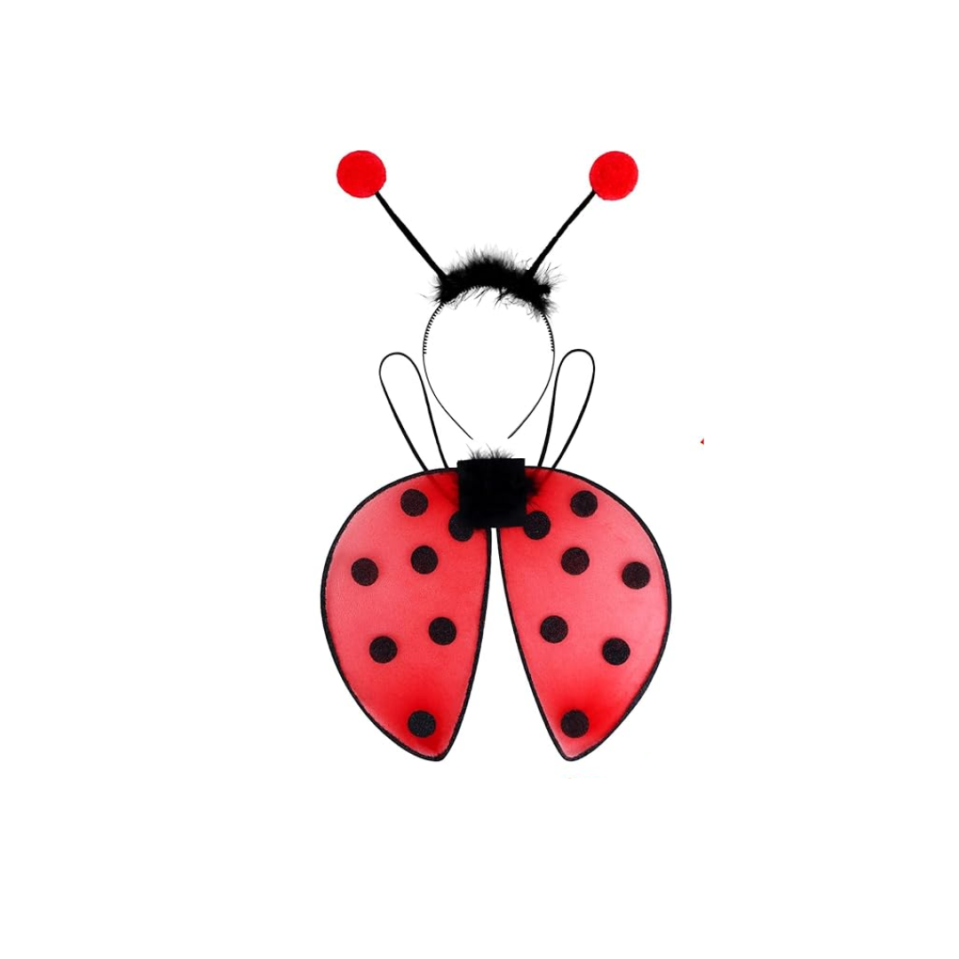 Lady Bug | Kids Costume