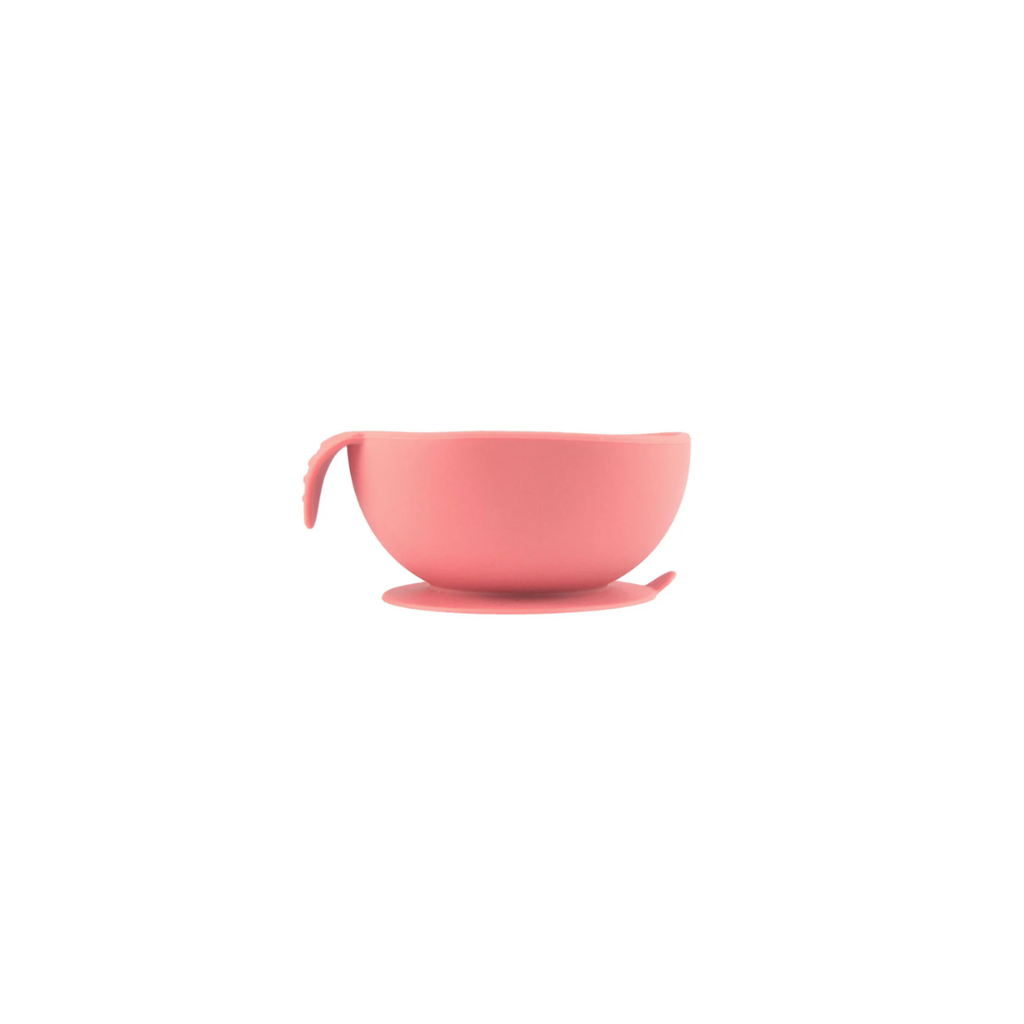Silicone Bowl
