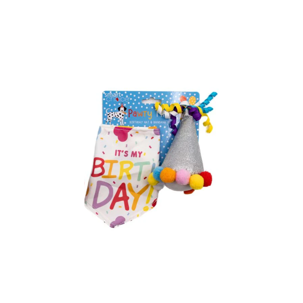 Birthday Bandana & Party Hat