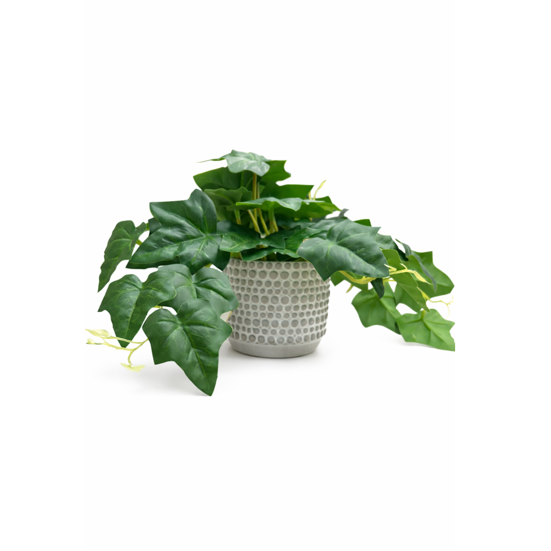 Artificial Monstera with Cement Pot | 30cm