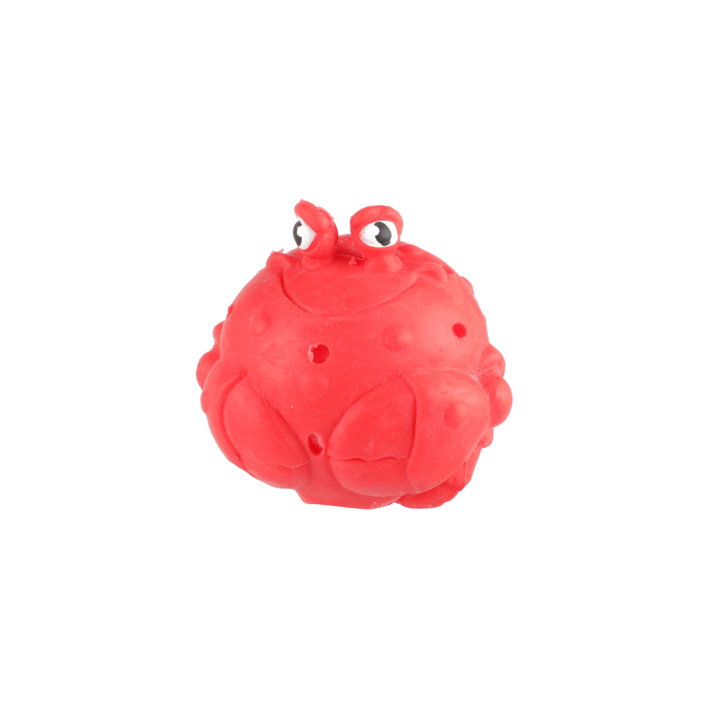 Splash! Sponge Toy Animal