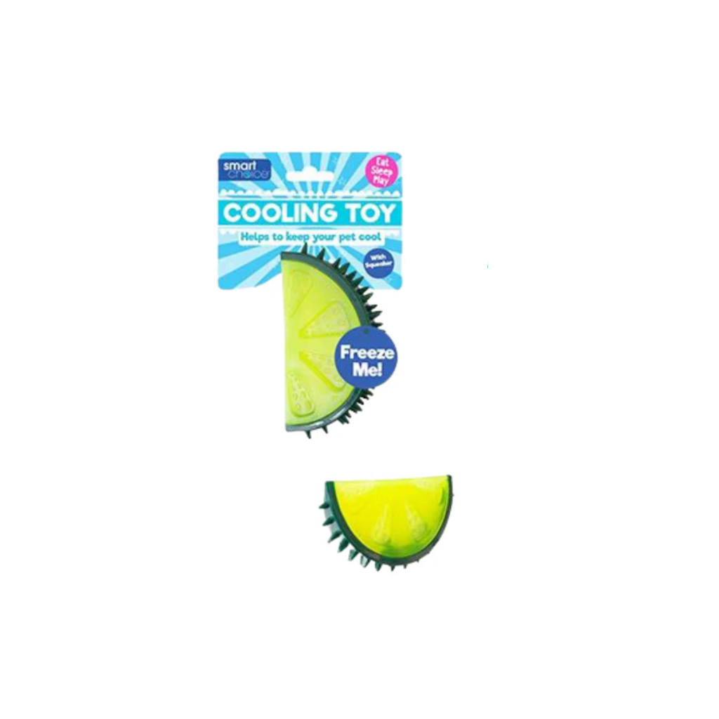 Summer Cooling Fruit Rubber Dog Toy