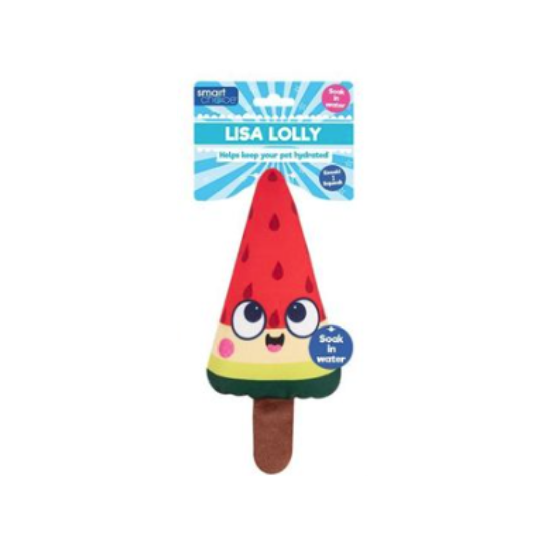 Squeaky Plush Ice Lolly Dog Toy