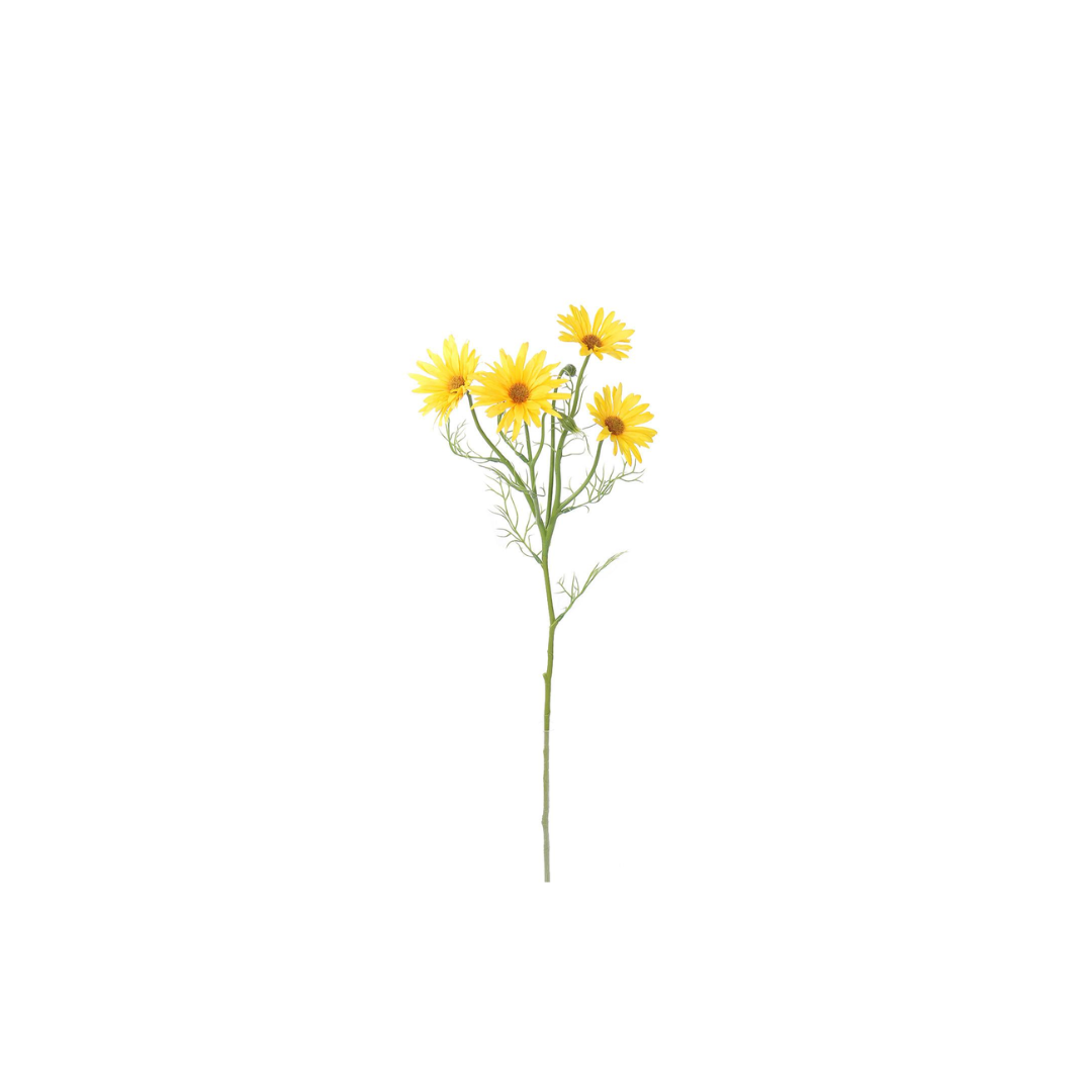 Daisy Spray | 60cm