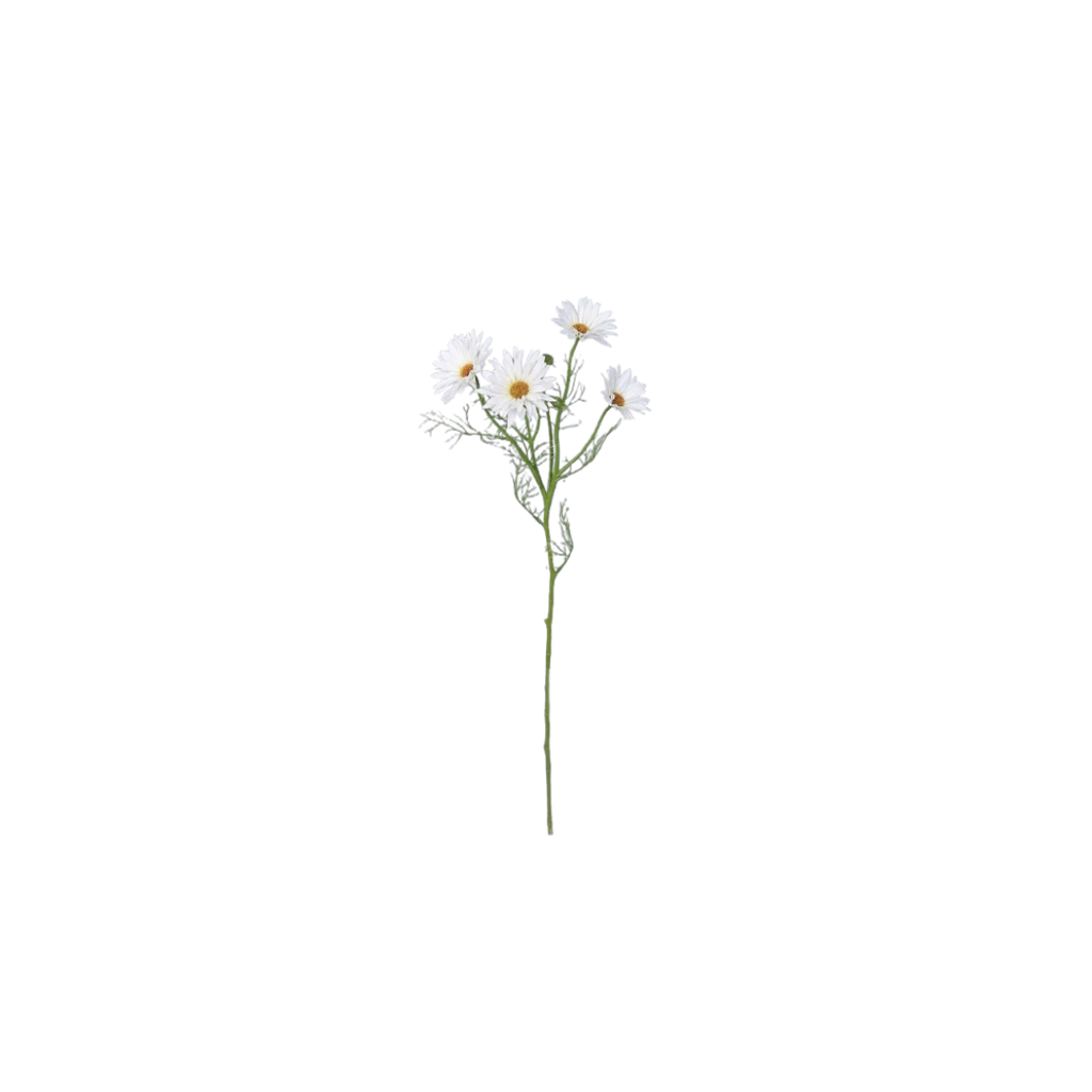 Daisy Spray | 60cm