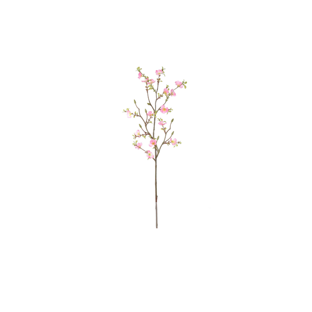 Cherry Blossom | 74cm