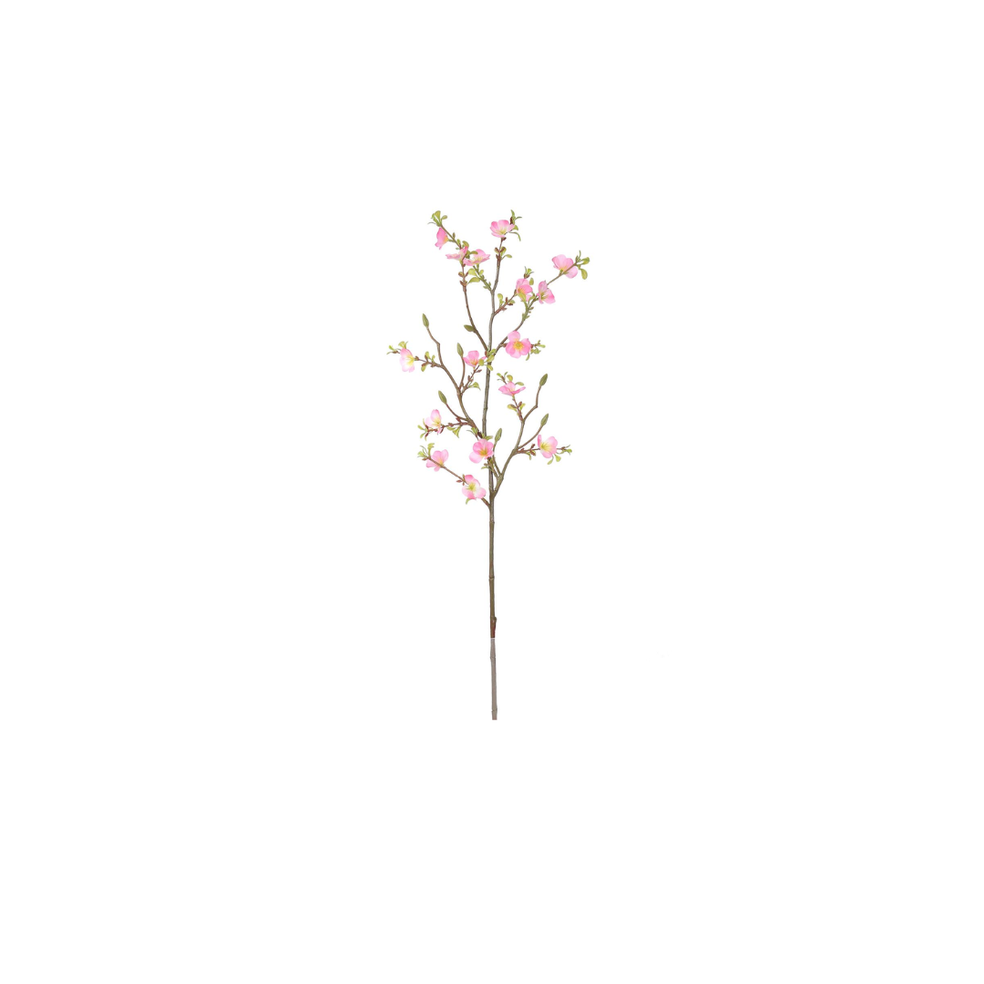 Cherry Blossom | 74cm