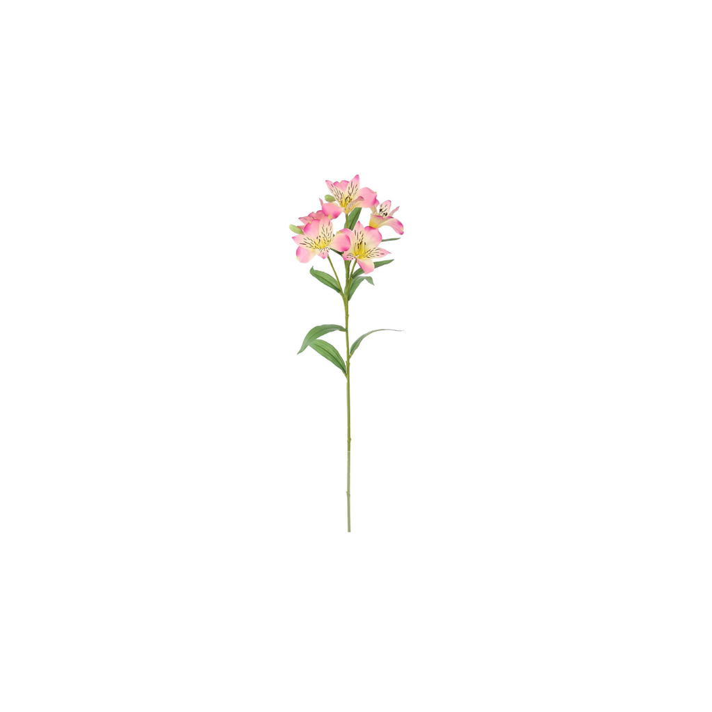 Alstromeria Spray | 62cm