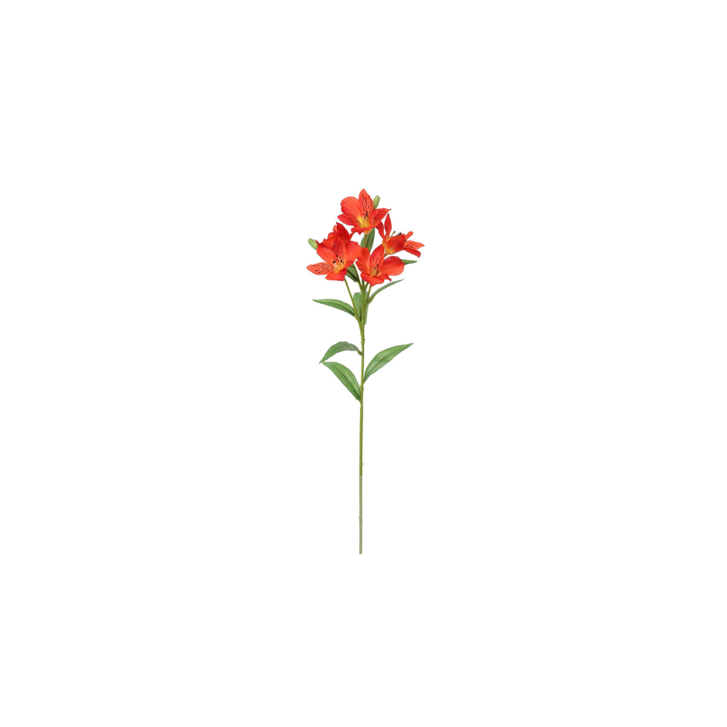 Alstromeria Spray | 62cm