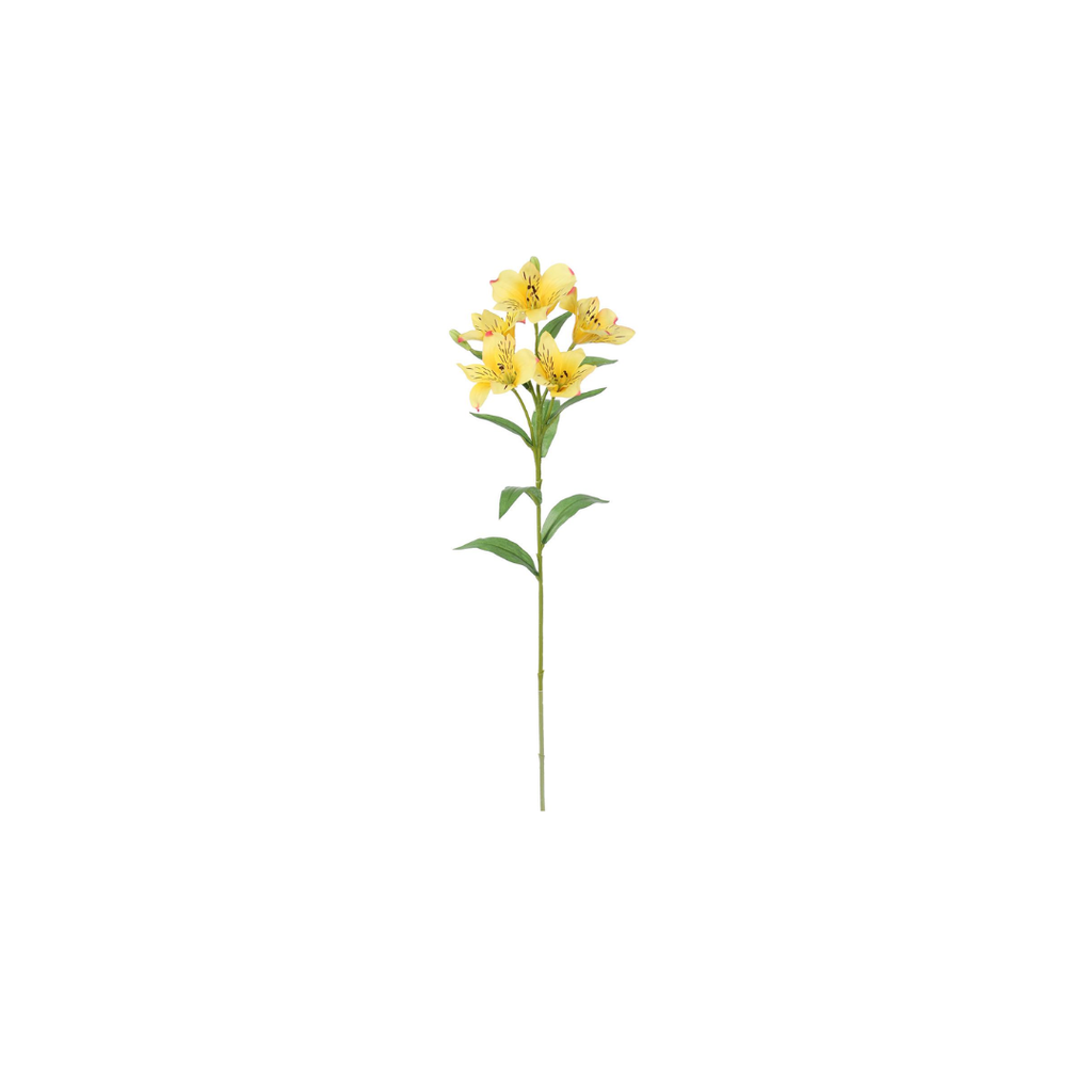Alstromeria Spray | 62cm