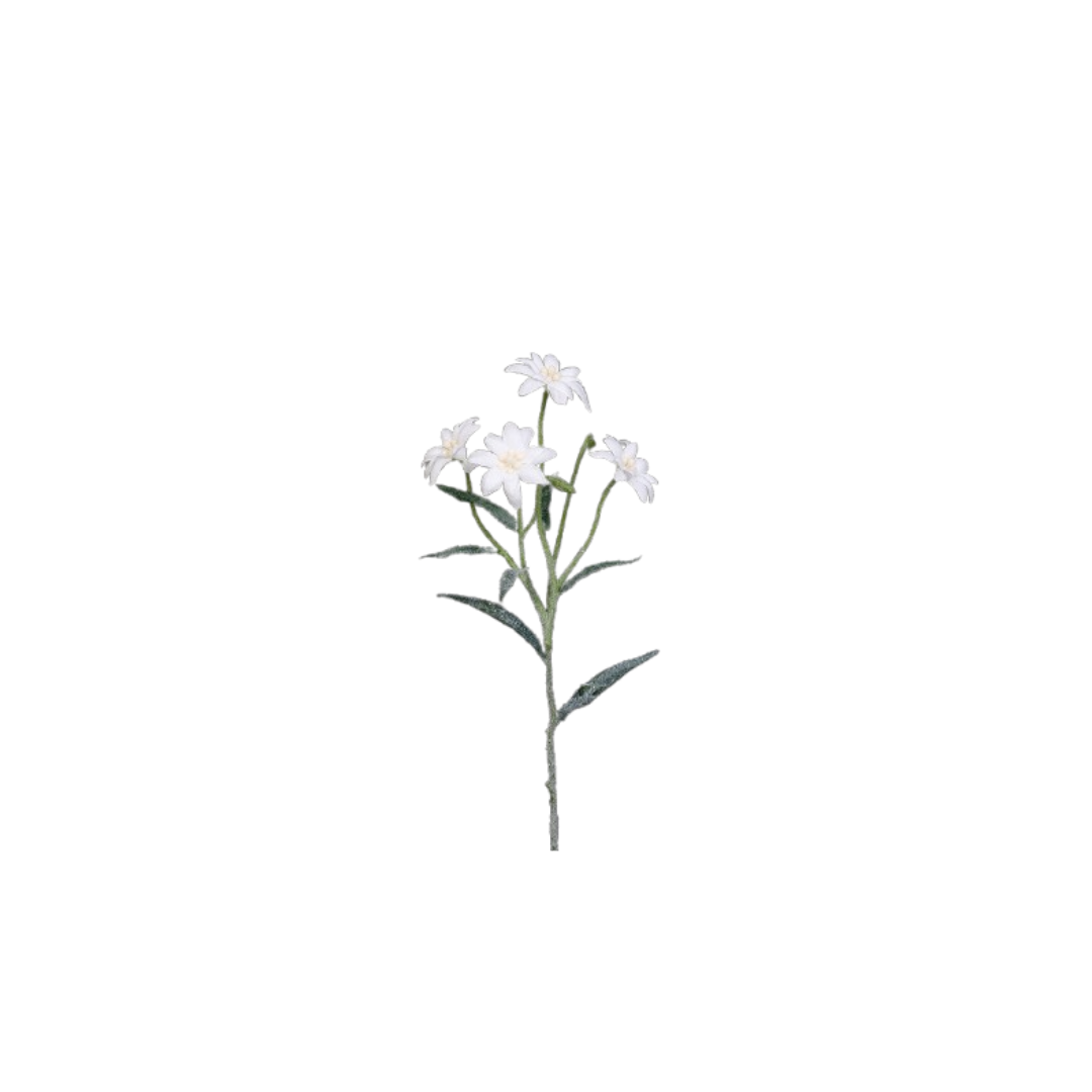 Edelweiss Spray With Snow | 60cm