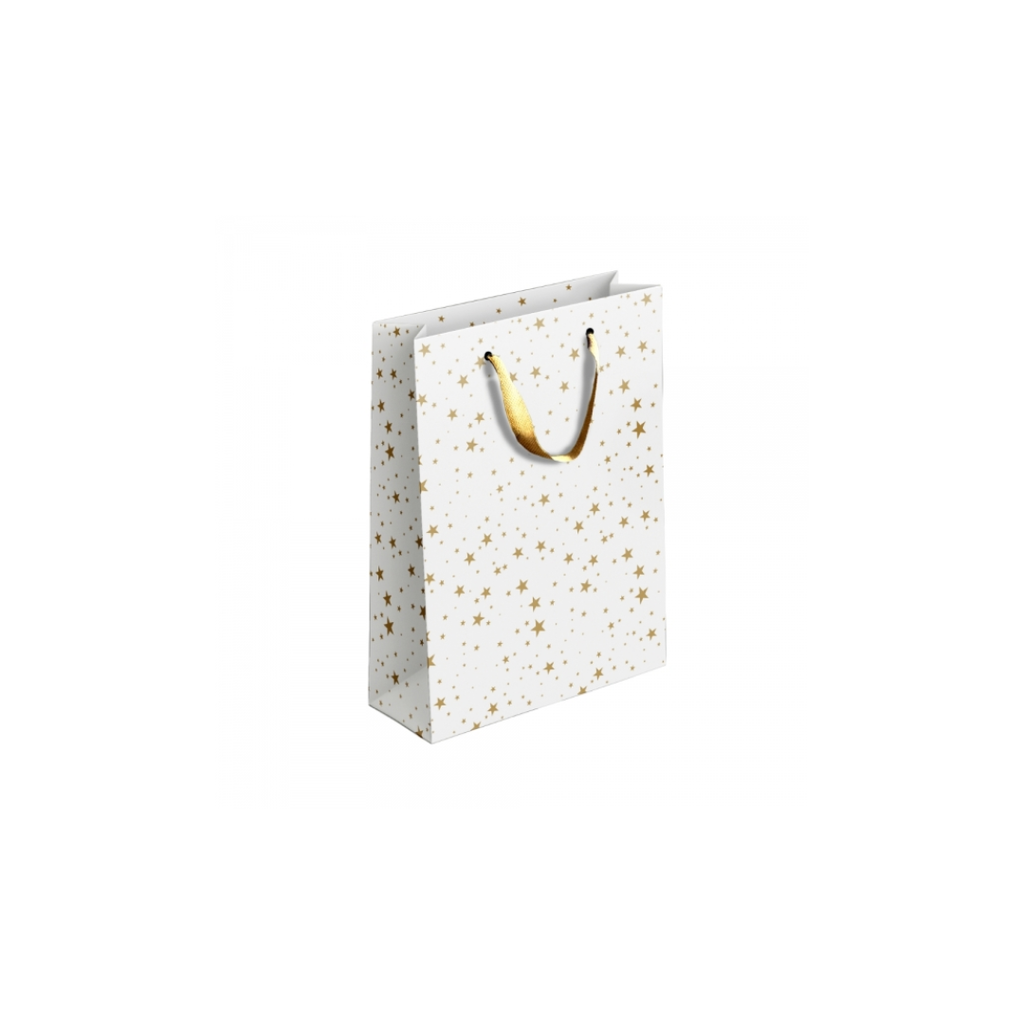 Silver & Gold Bottle Gift Bag | 12X36X10CM