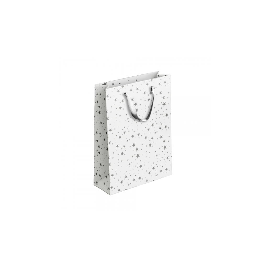 Silver & Gold Bottle Gift Bag | 12X36X10CM
