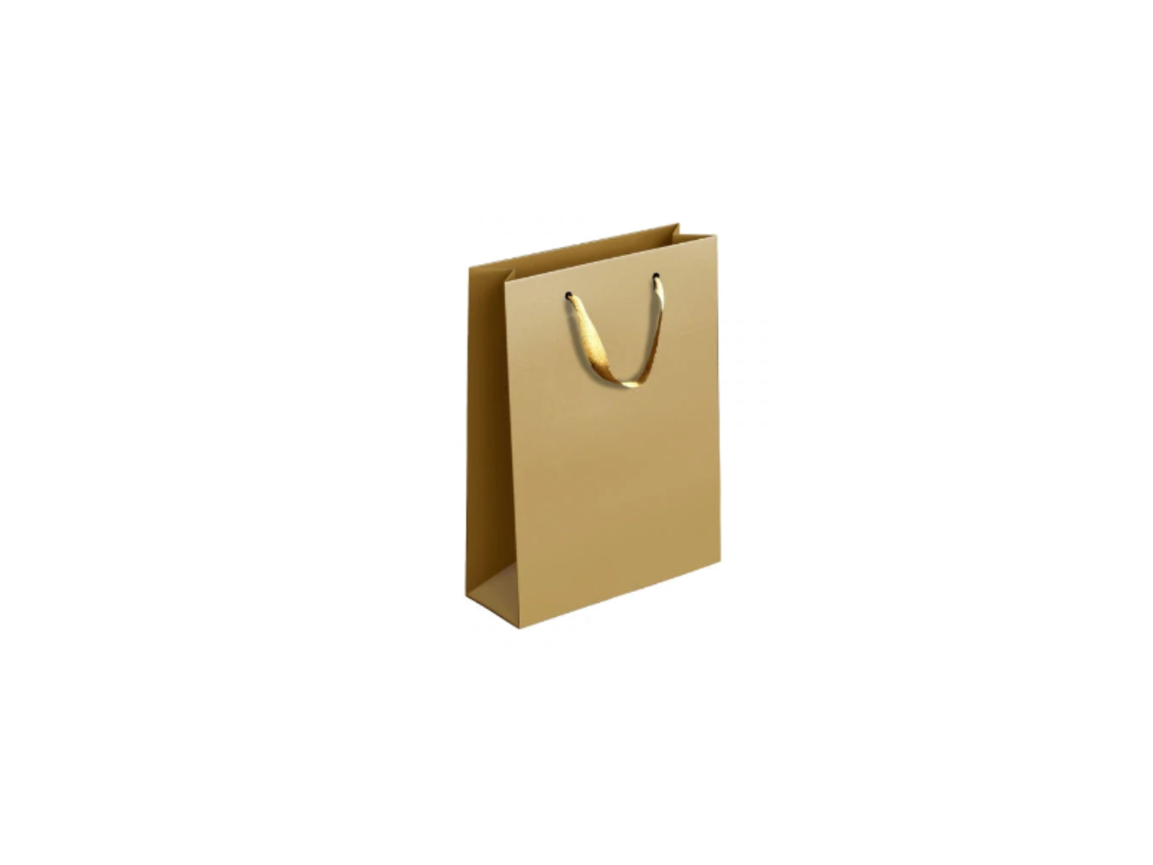 Gold & Silver Gift Bag | Large