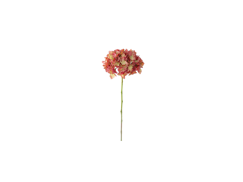 Single Hydrangea | 65cm