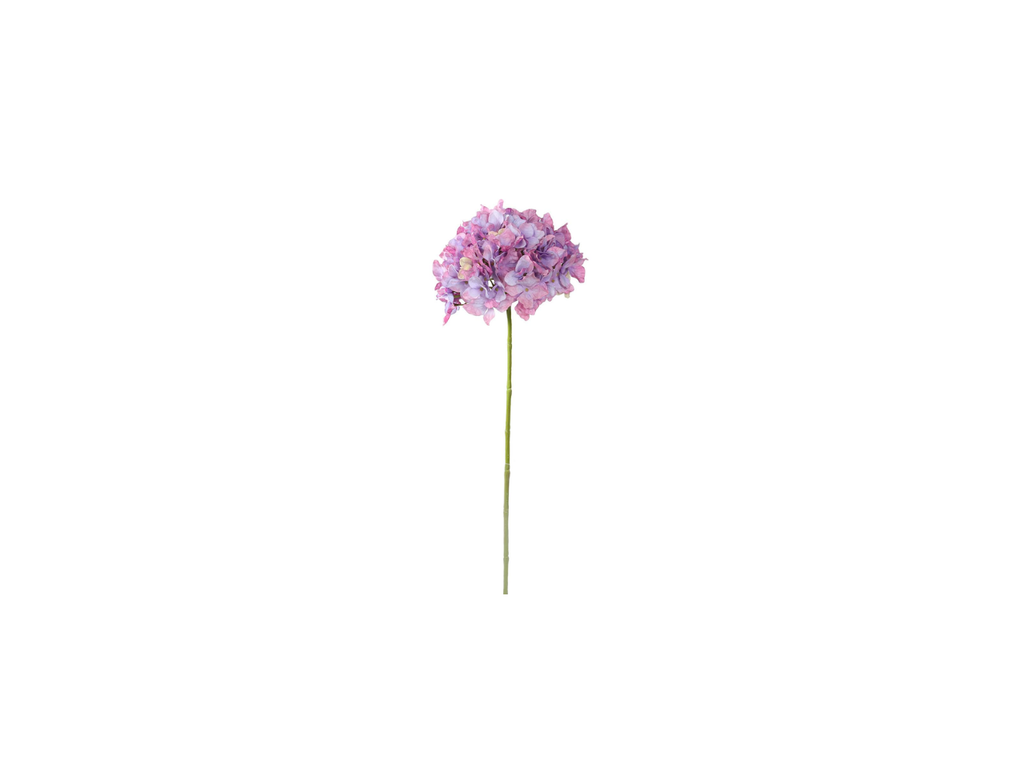 Single Hydrangea | 65cm