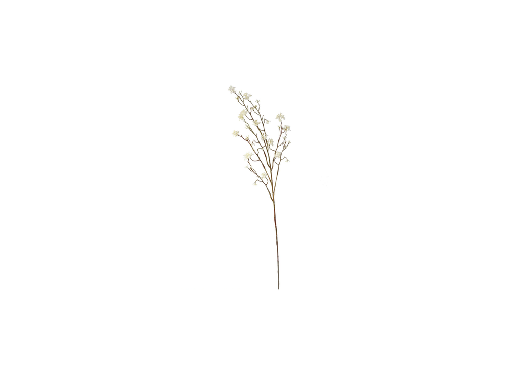 Lime Spray | 85cm