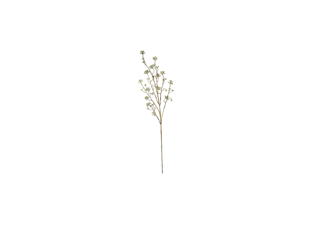 Lime Spray | 85cm