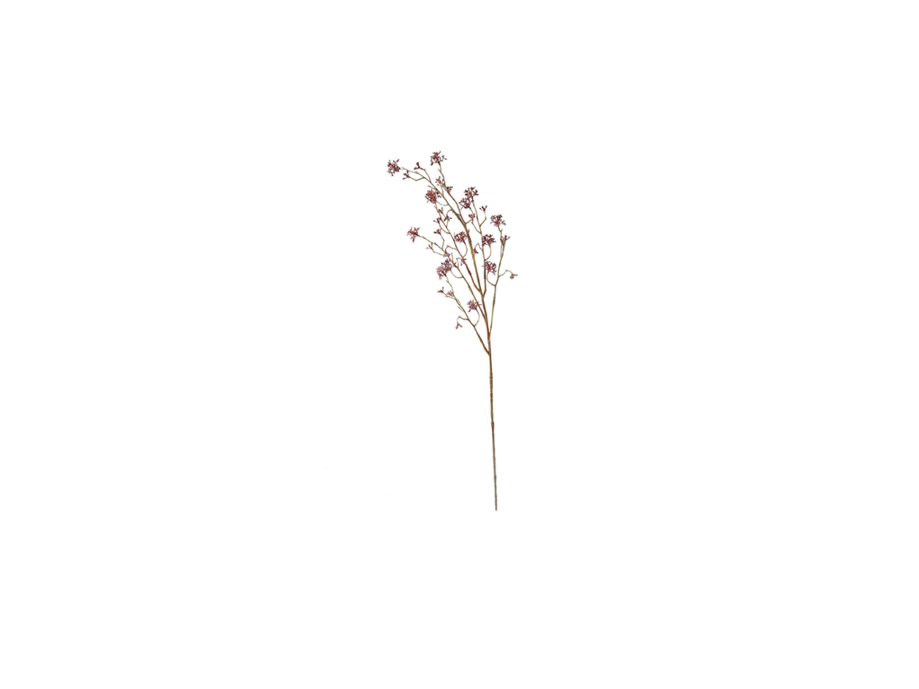 Lime Spray | 85cm