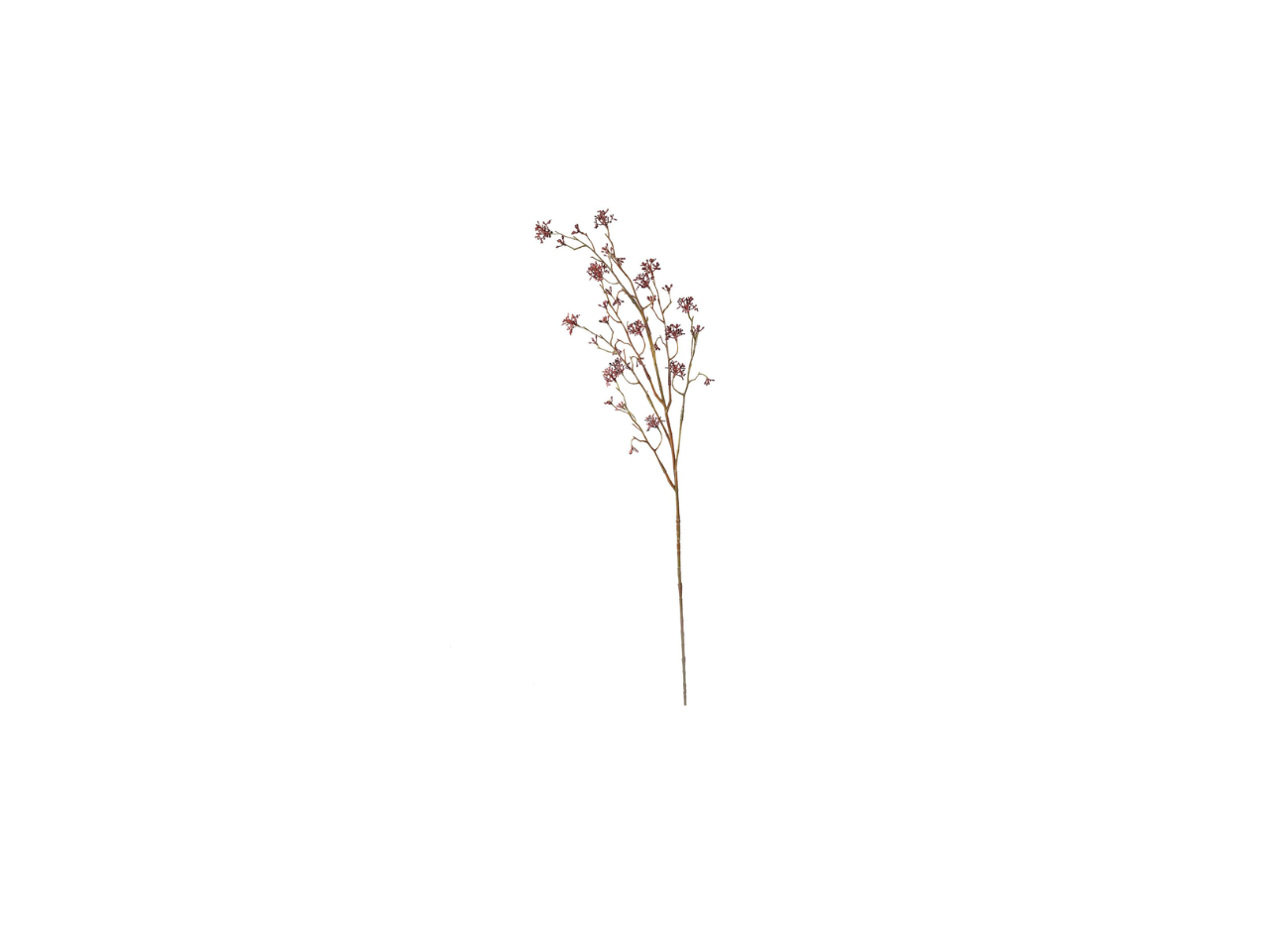 Lime Spray | 85cm
