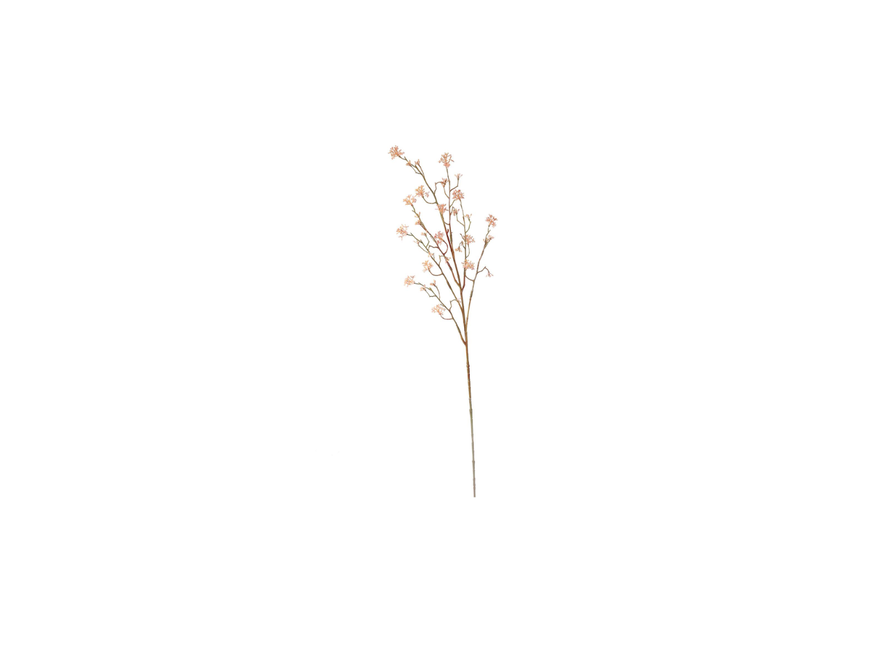 Lime Spray | 85cm