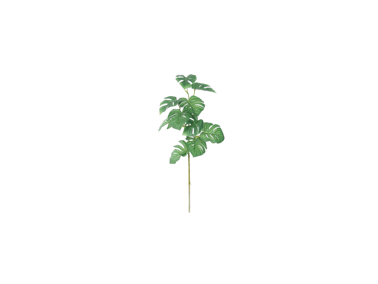 Monstera Spray | 71cm