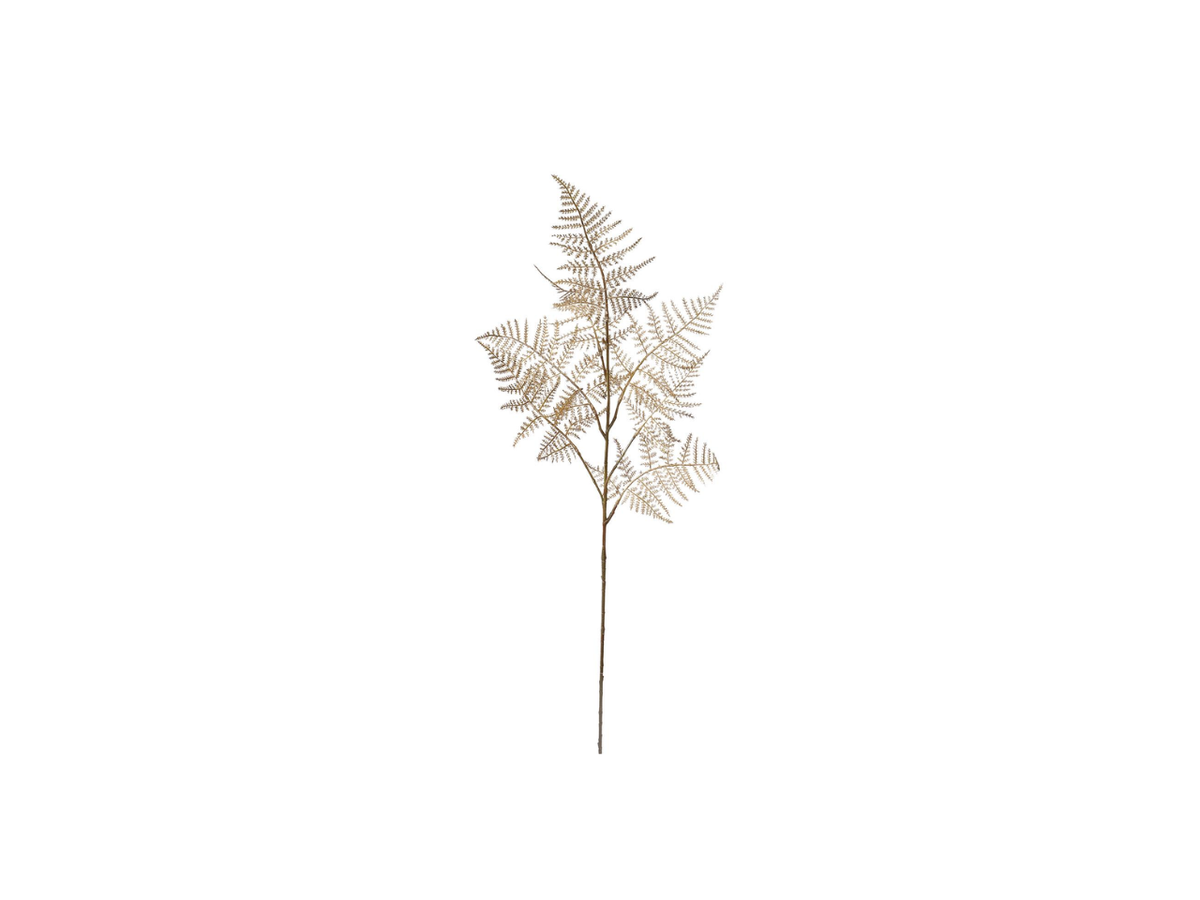 Cupressus Leaf | 87cm