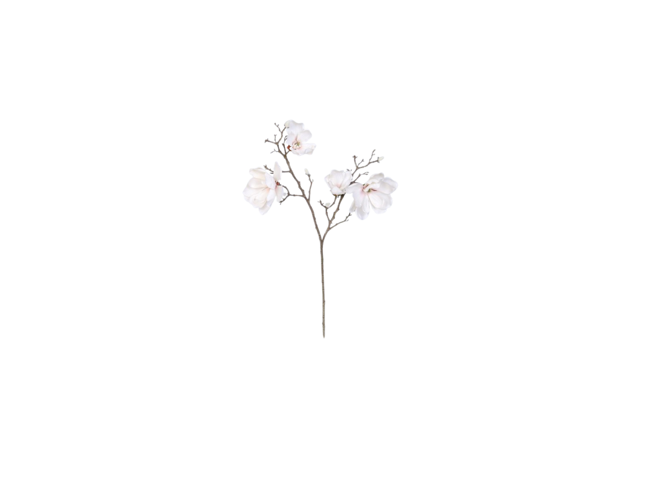 Magnolia Spray | 86cm