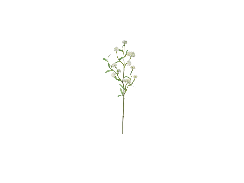 Thalictrum Spray | 70cm