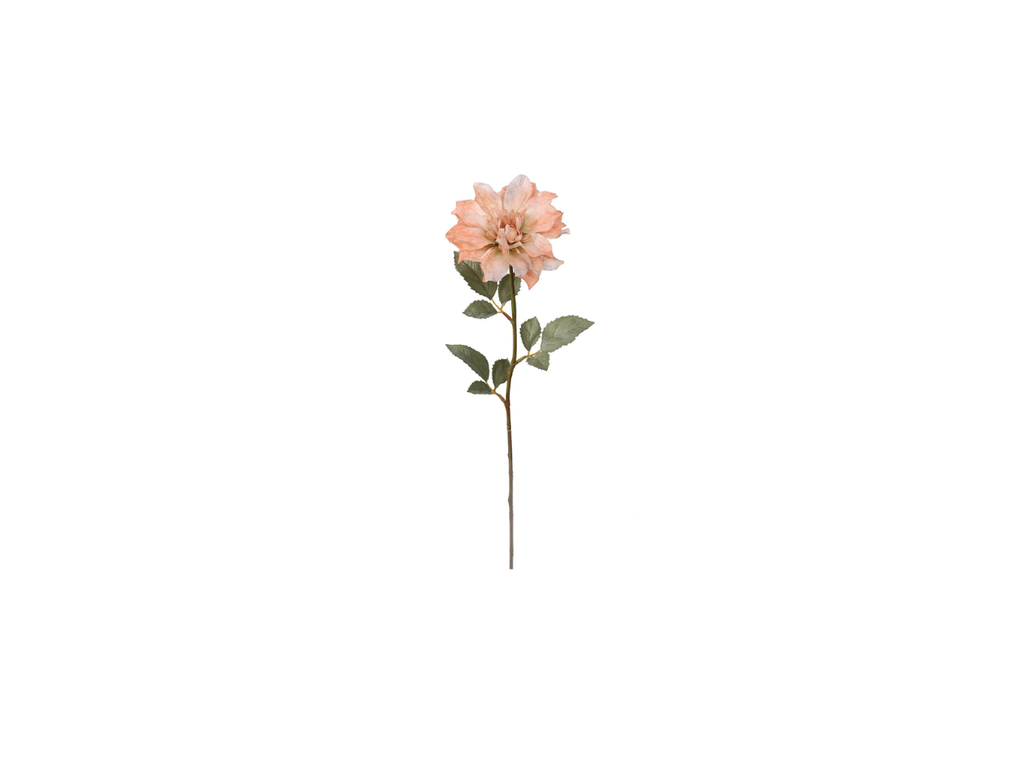 Single Dhalia | 58cm