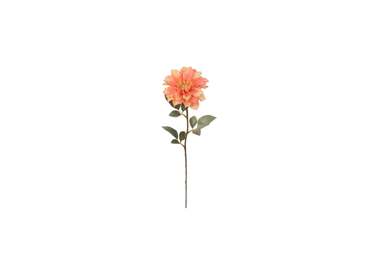 Single Dhalia | 58cm