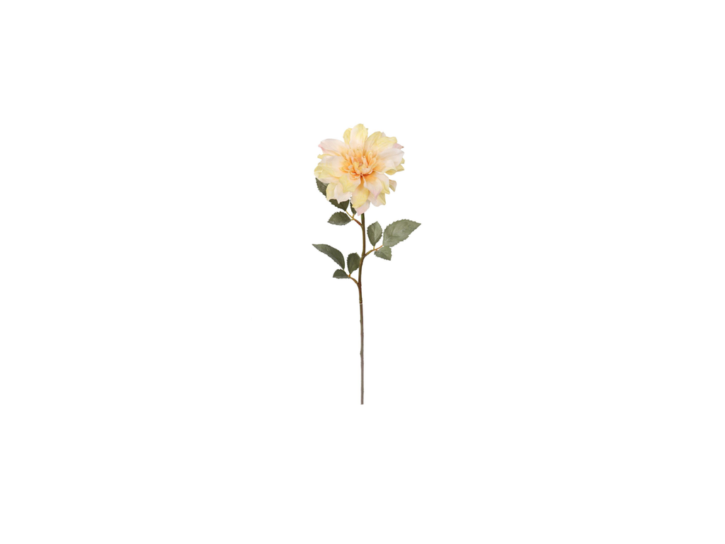 Single Dhalia | 58cm