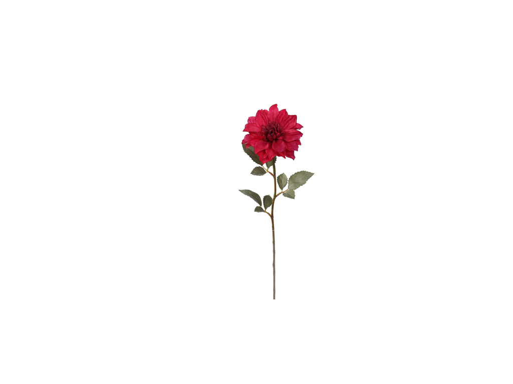 Single Dhalia | 58cm