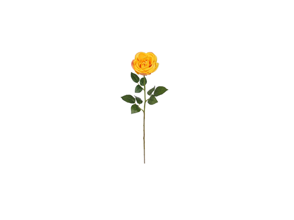 Single Rose | 60cm