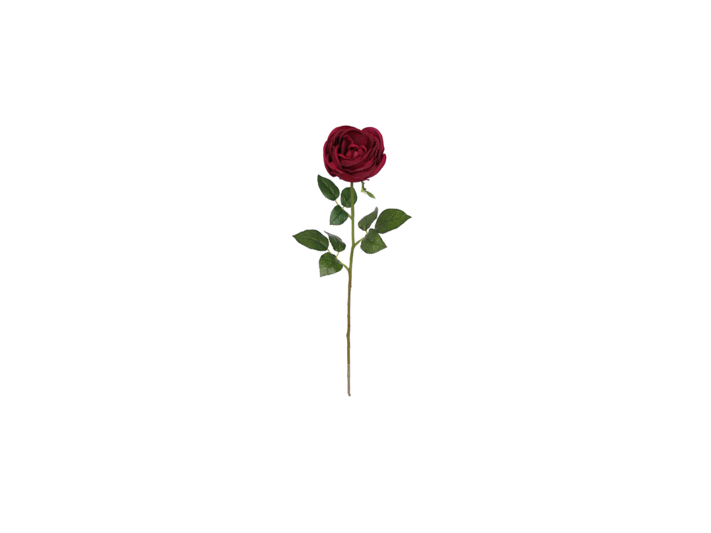 Single Rose | 60cm