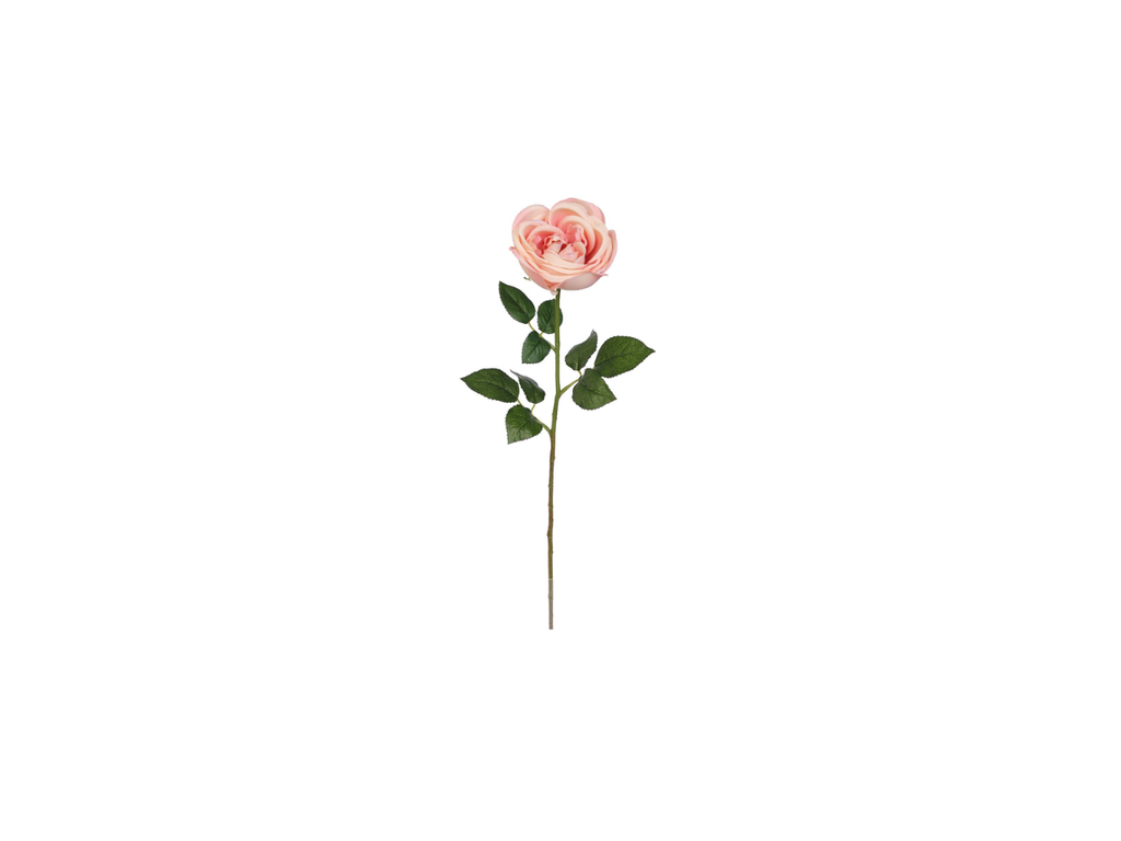 Single Rose | 60cm