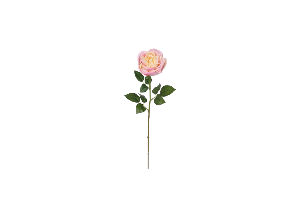Single Rose | 60cm