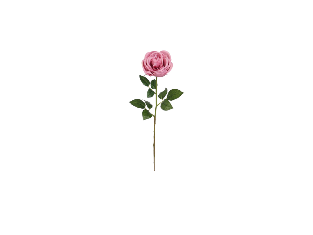 Single Rose | 60cm