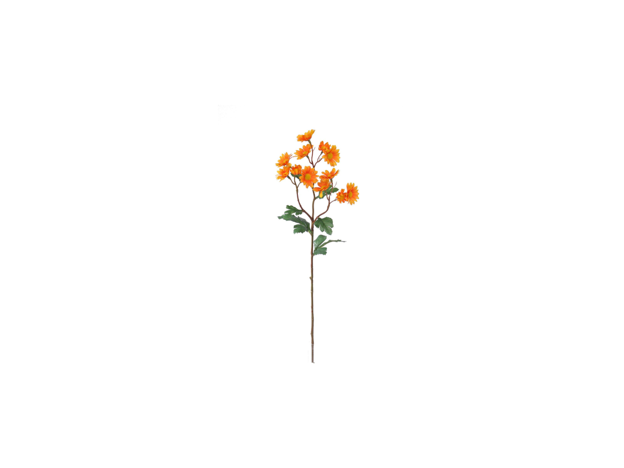 Mum Spray | 61cm