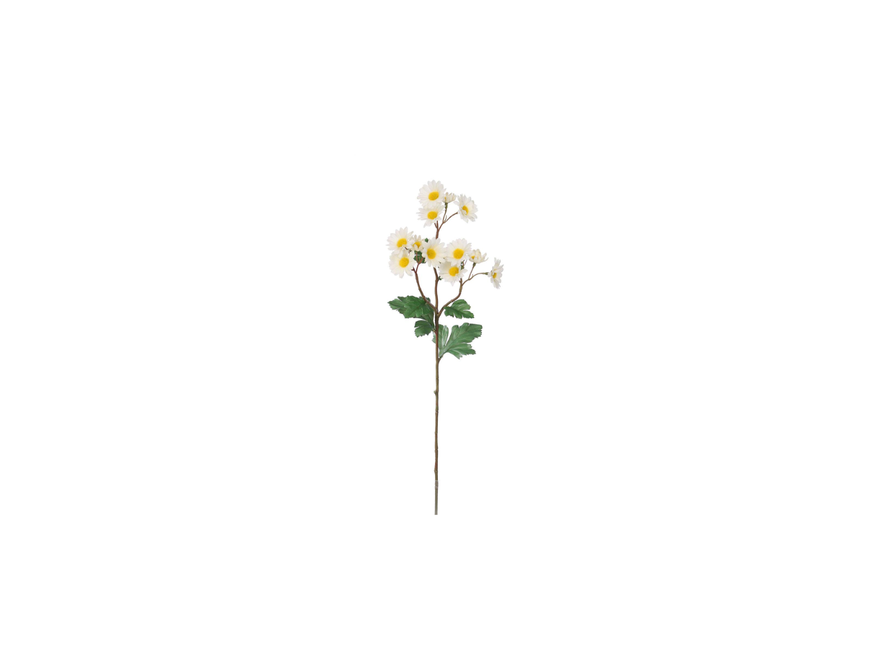 Mum Spray | 61cm