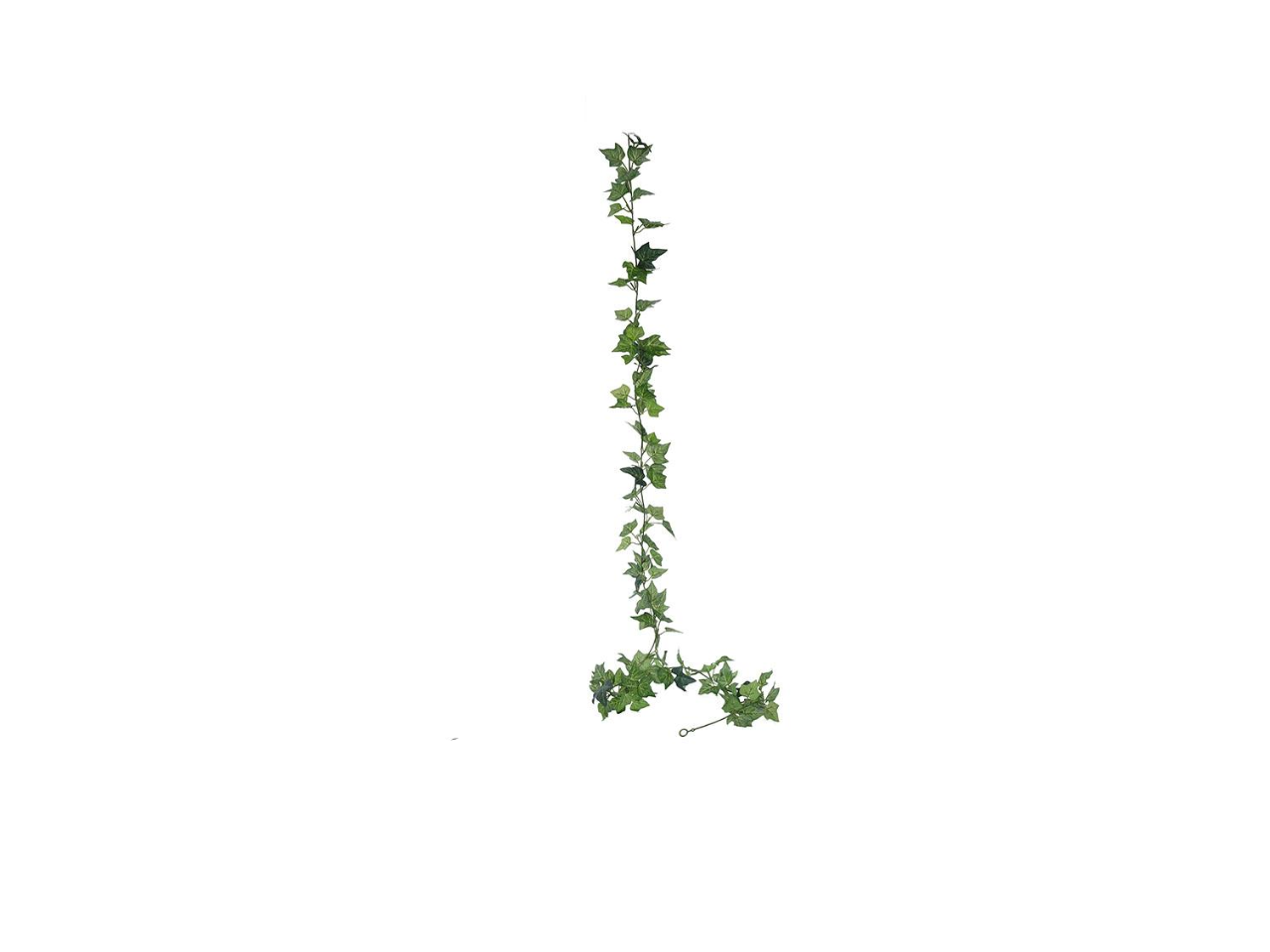 Printing Evergreen Ivy Garland | 1.8M
