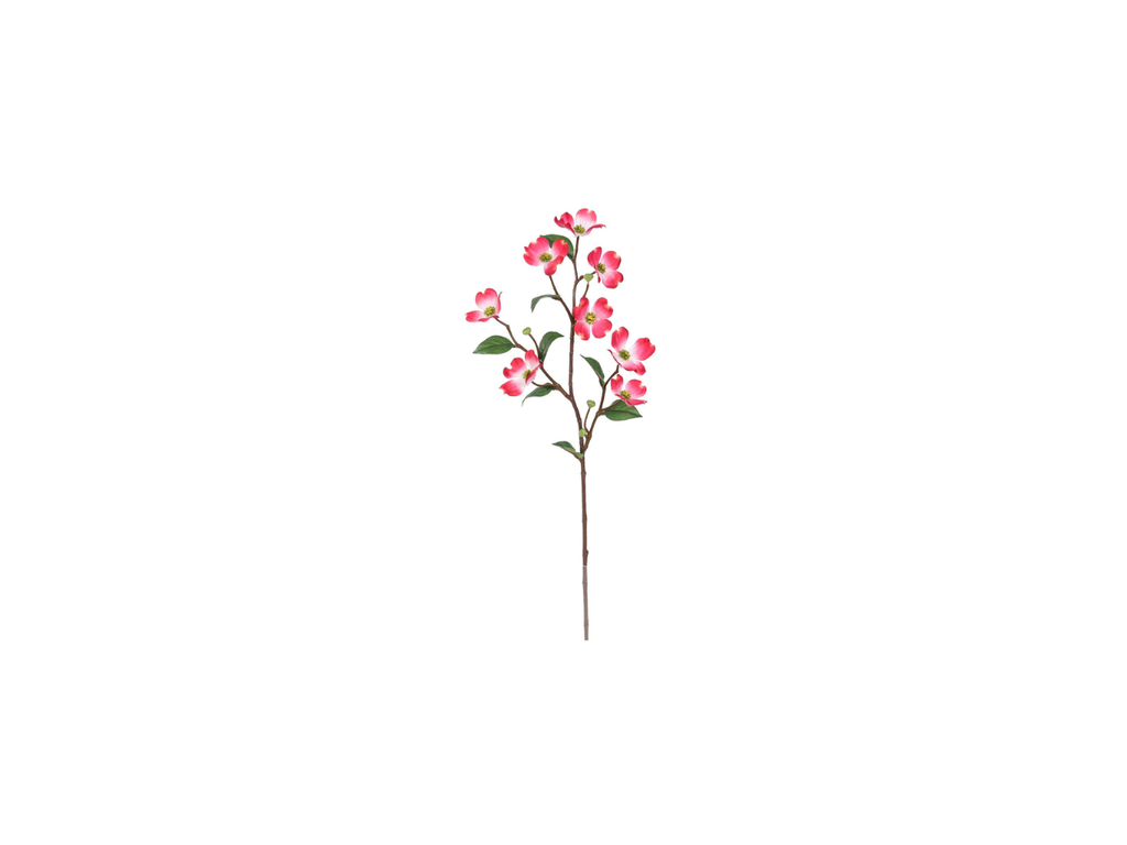 Dogwood Spray | 69cm