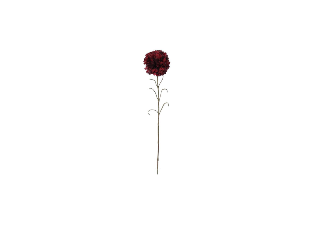 Single Carnation | 66cm