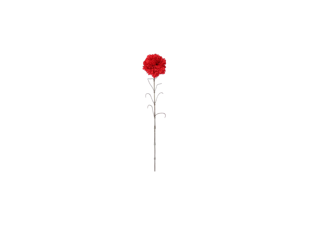 Single Carnation | 66cm