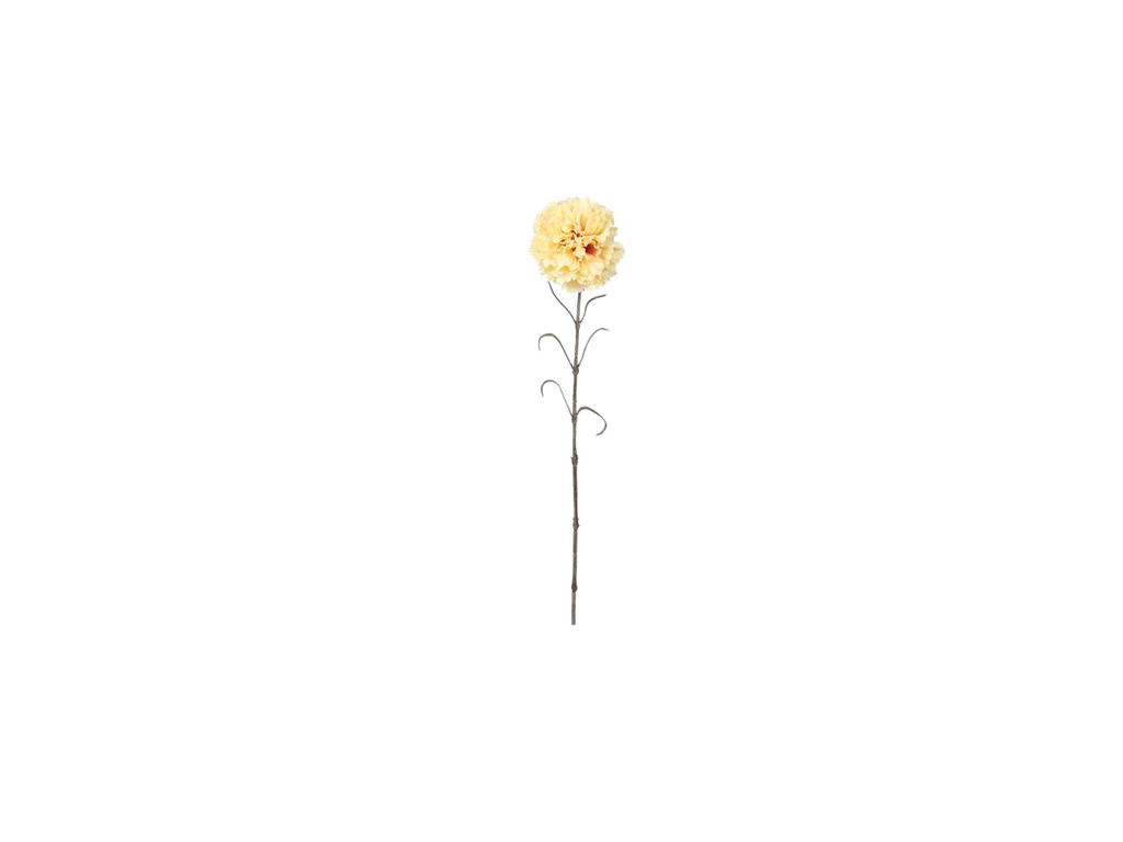 Single Carnation | 66cm